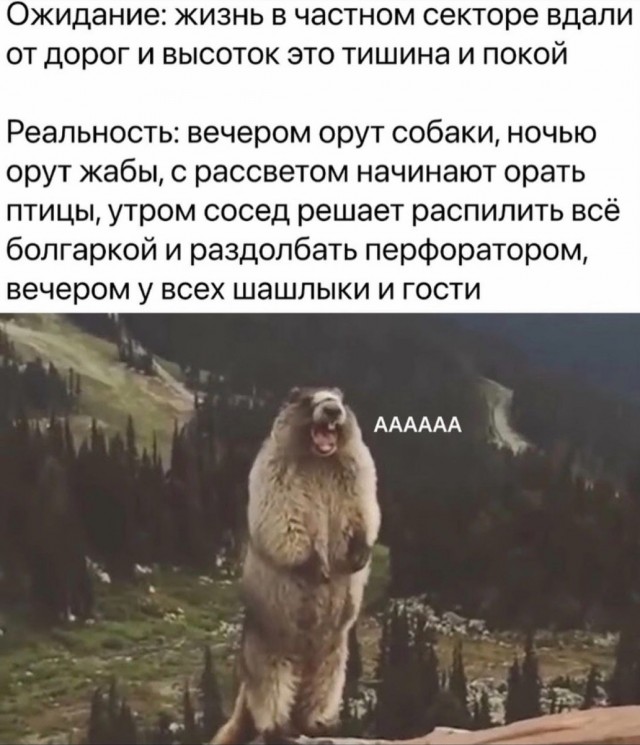 Весёлый полтишок 27.05.24