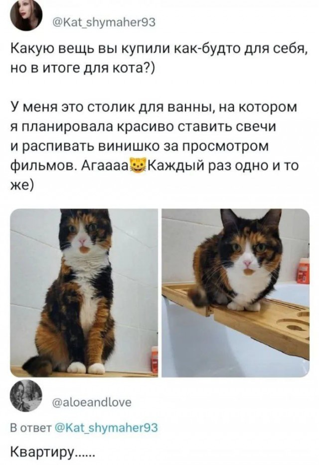 Всего понемногу. От 02.08.24