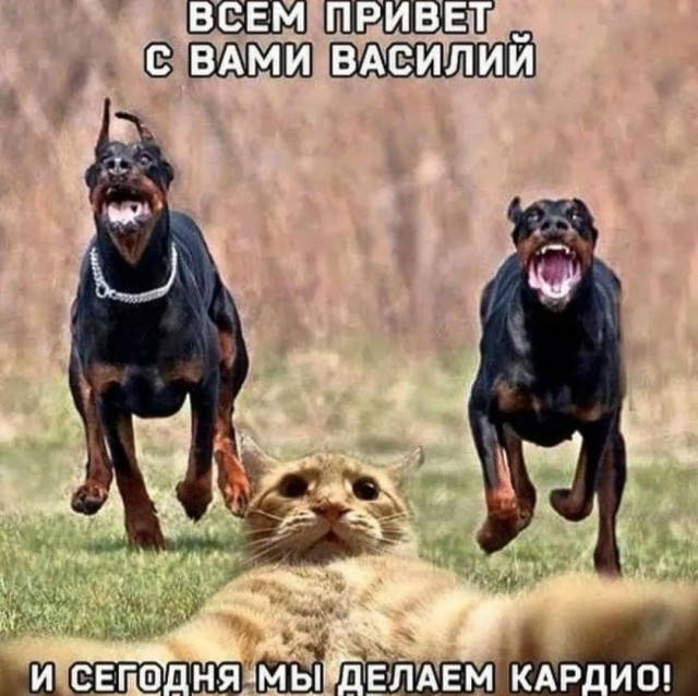 Завалялось тут случайно немного забавных картинок