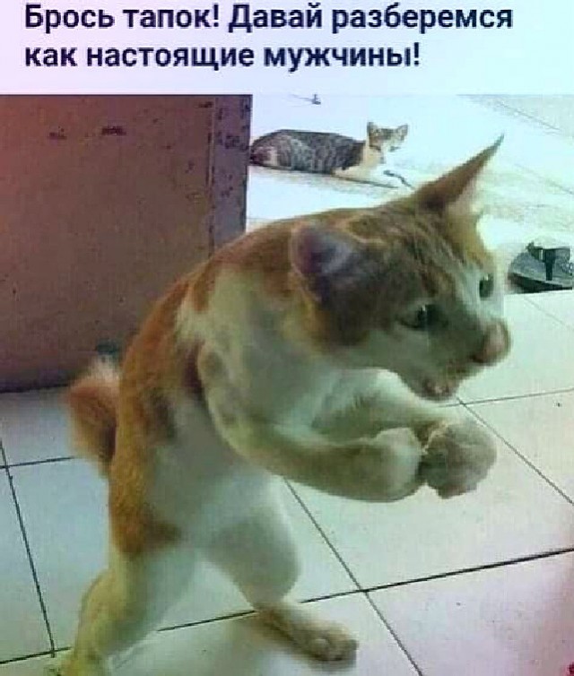 Смехотерапия. Весёлые картинки