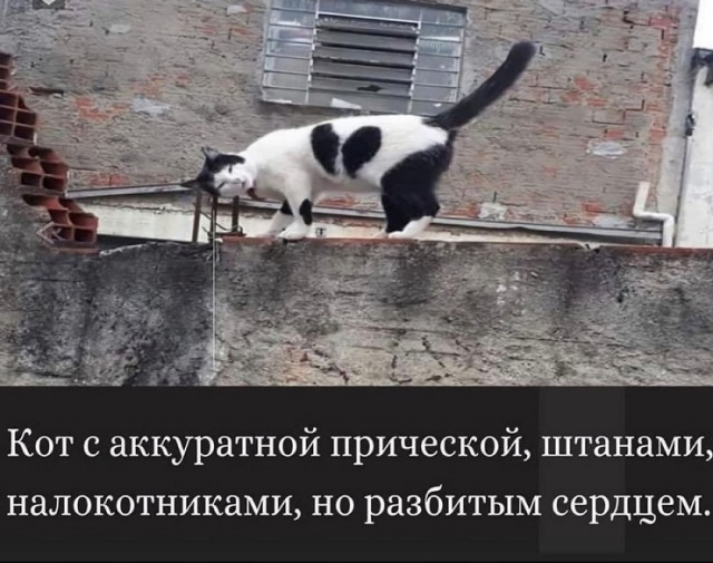 Завалялось тут случайно немного забавных картинок