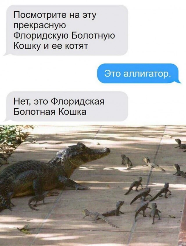 Завалялось тут случайно немного забавных картинок