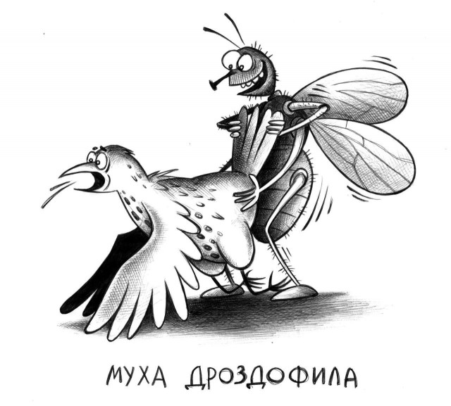 Так себе картинки 01.05.25