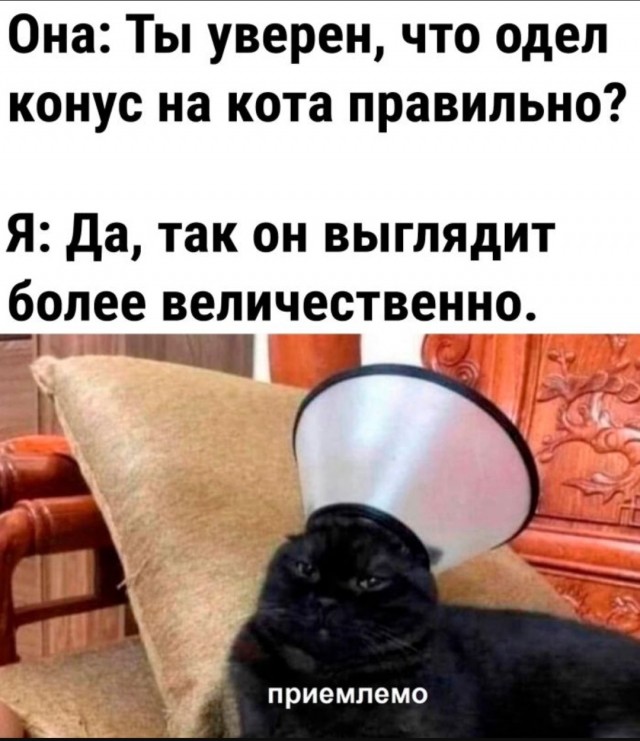 Жалуются на бояны местные.