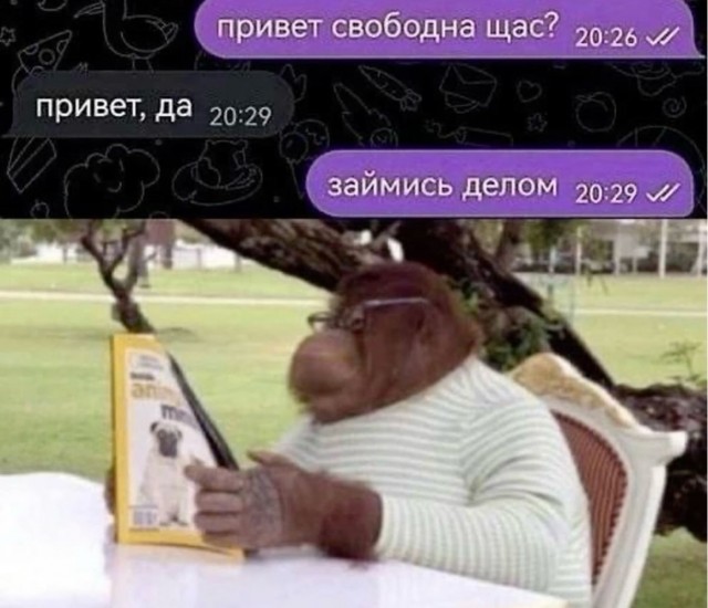Веселое настроение в картинках (05.08.2025)