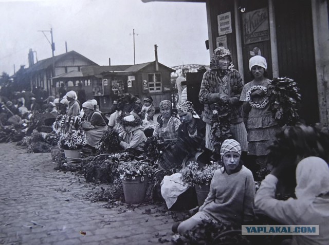 В России предложили запретить носить никабы и хиджабы в школах