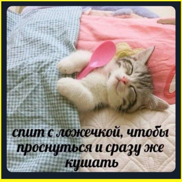 ТРРРидцать тРРРи от 29 августа