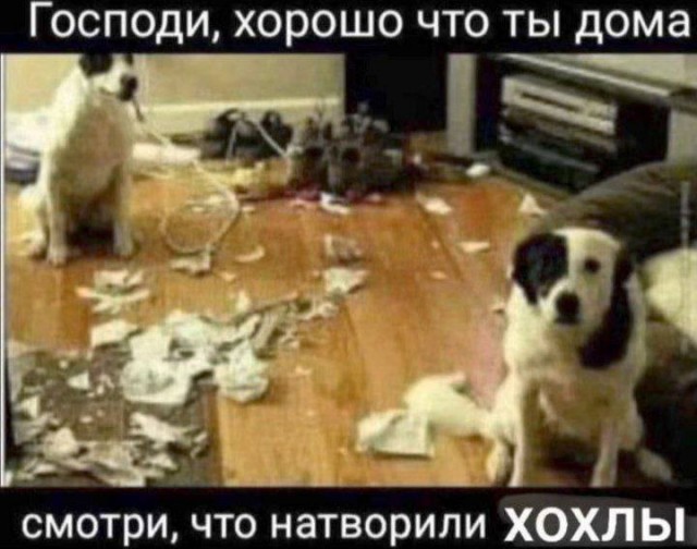 Всё ради вас,  "кушайте, не обляпайтесь" 
