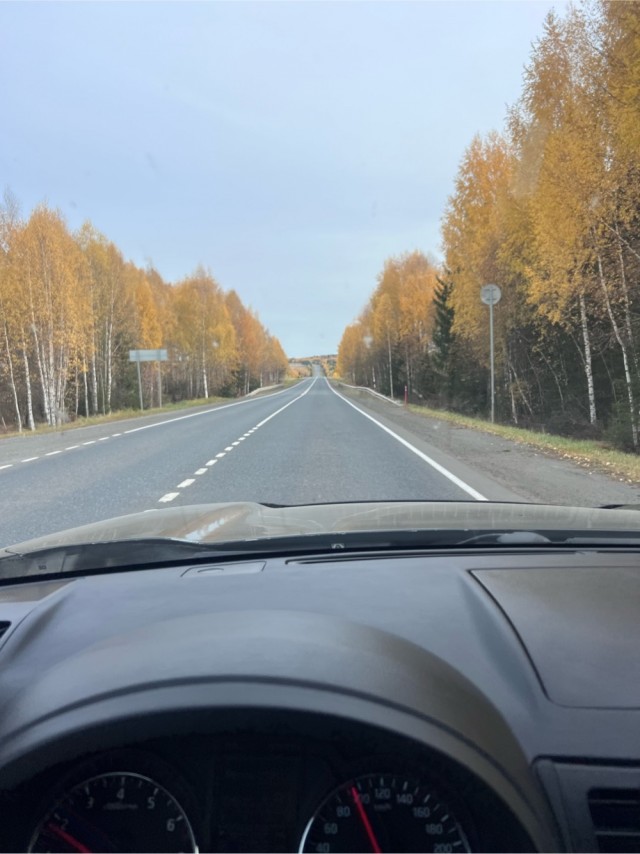 Золотая осень