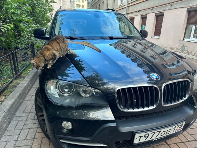 Фото бывших