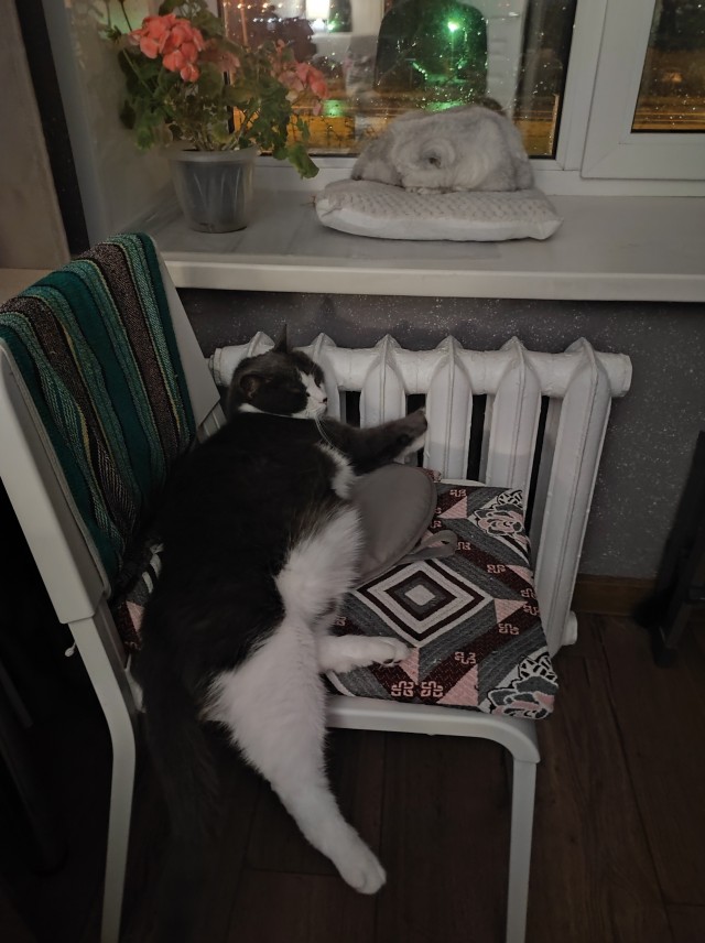 Спят усталые балбесы.