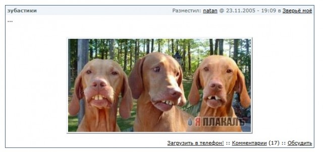 ЯП двадцатилетней выдержки