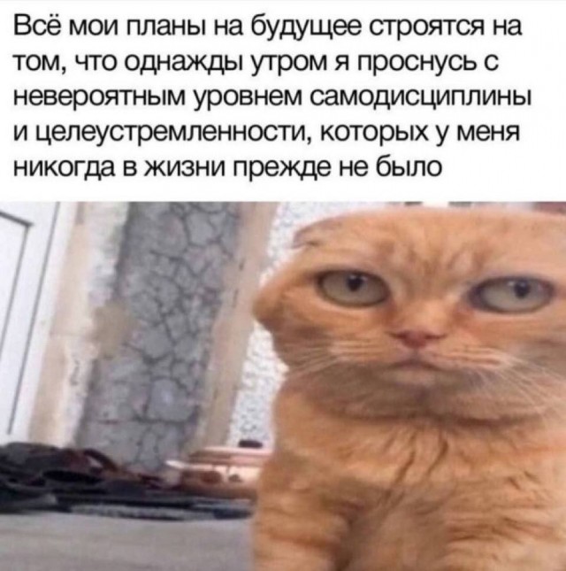 Депрессивный дегрономикон 2