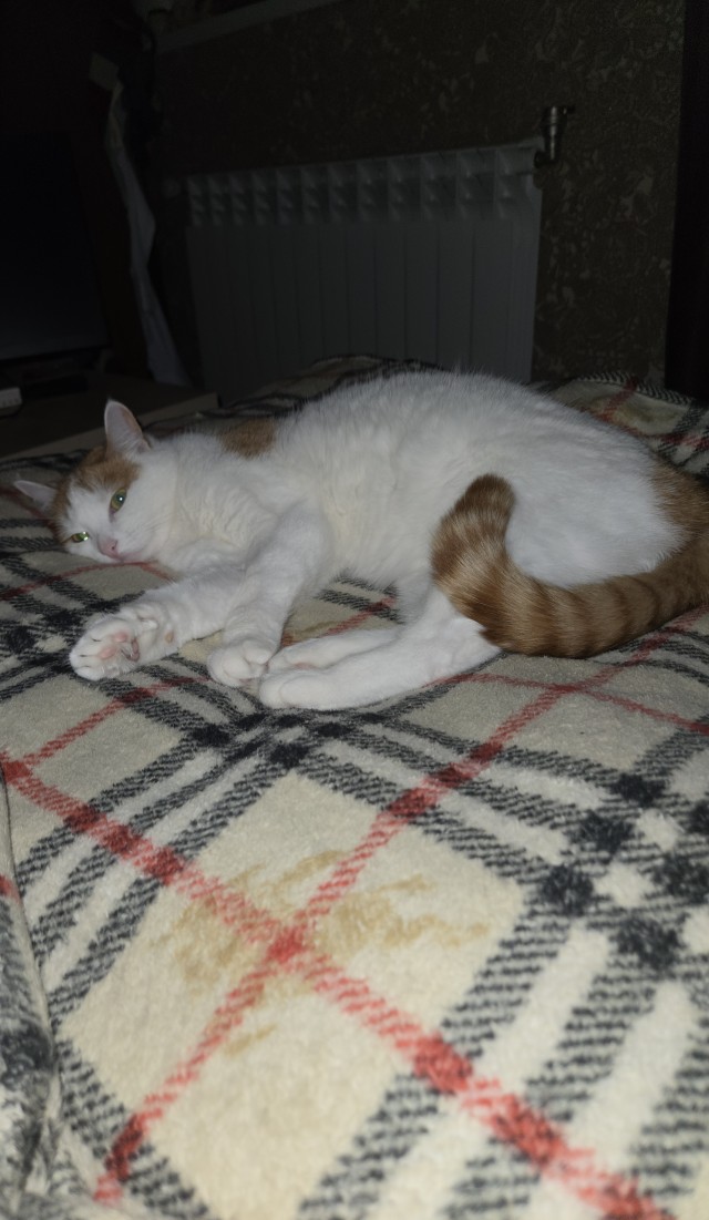 Хоть и не вторник...