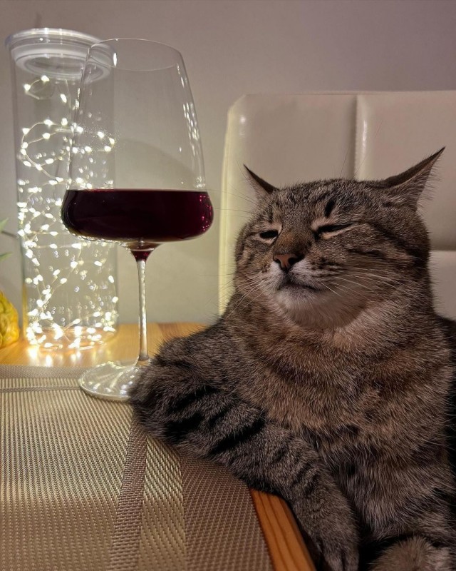 Темнота… ( Рассказ про Кота).