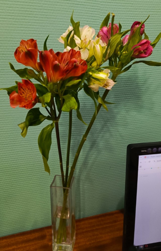 Литконкурс "Очумелые Пёрышки - 25"