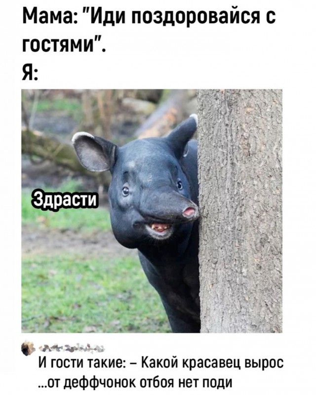 Подборка очень и не очень