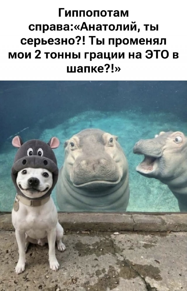 Так себе картинки 18.02.26