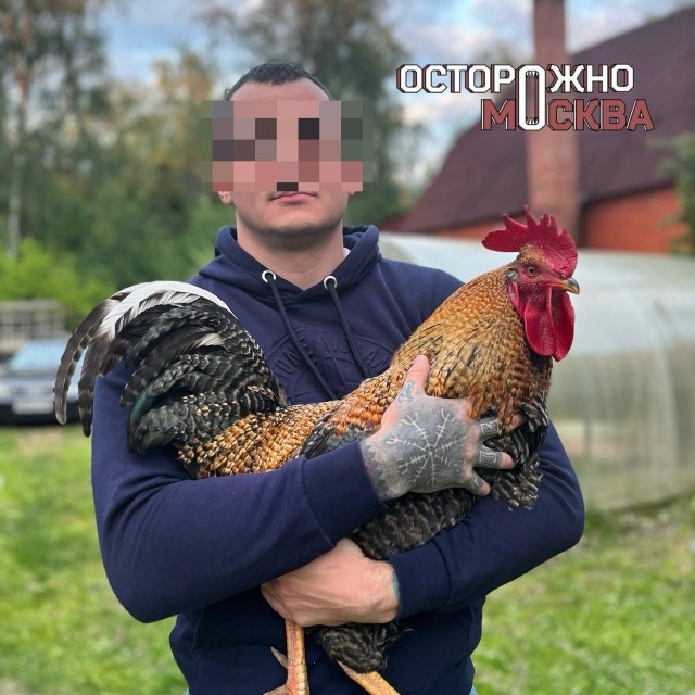 В Москве на футбольного фаната завели 20 административных дел за «сохраненки» с полуголыми мужчинами и татуировками.