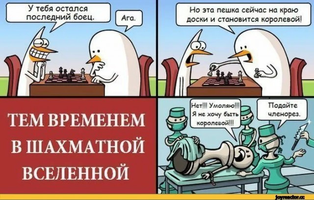 Всю голову сломал