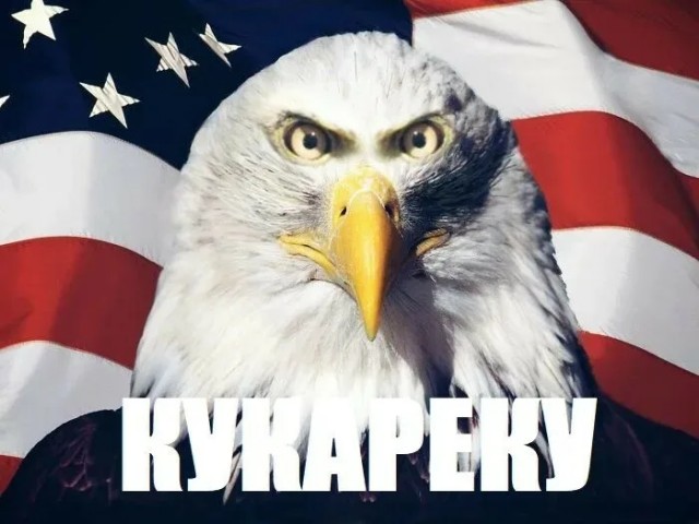 Считаем, что это сделал Иран