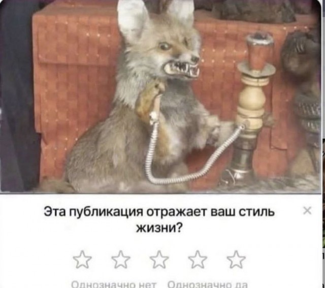 Немного картинок на ночь