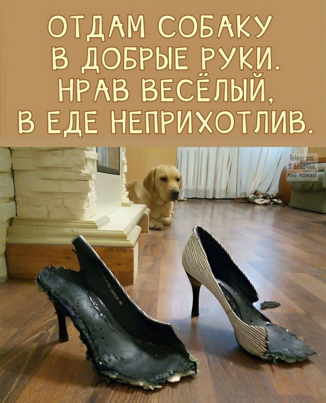 Понедельника картинки