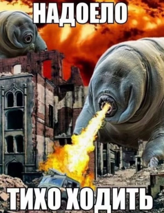 Веселое настроение в картинках (30.04.2026)