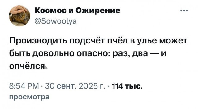 Картинки для деградации 209 (разной степени свежести)