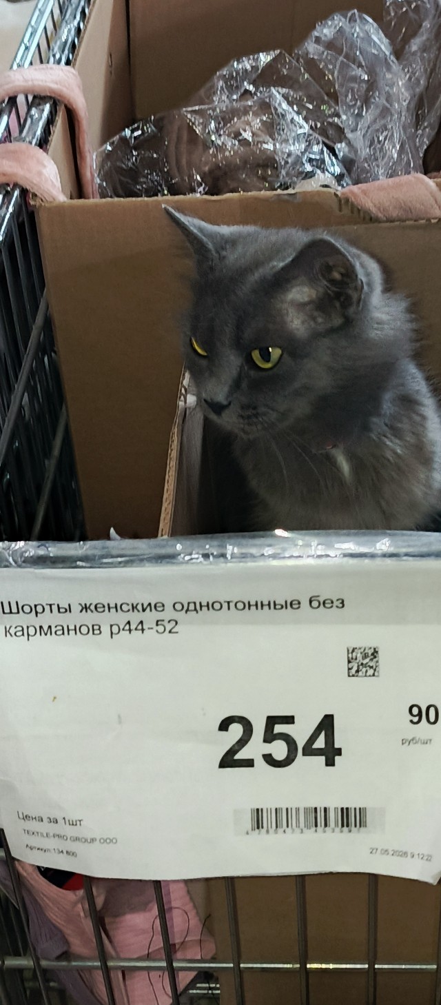 Кружевные трусы это хит сезона