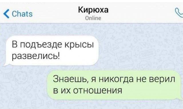 Веселое настроение в картинках 14.08.26