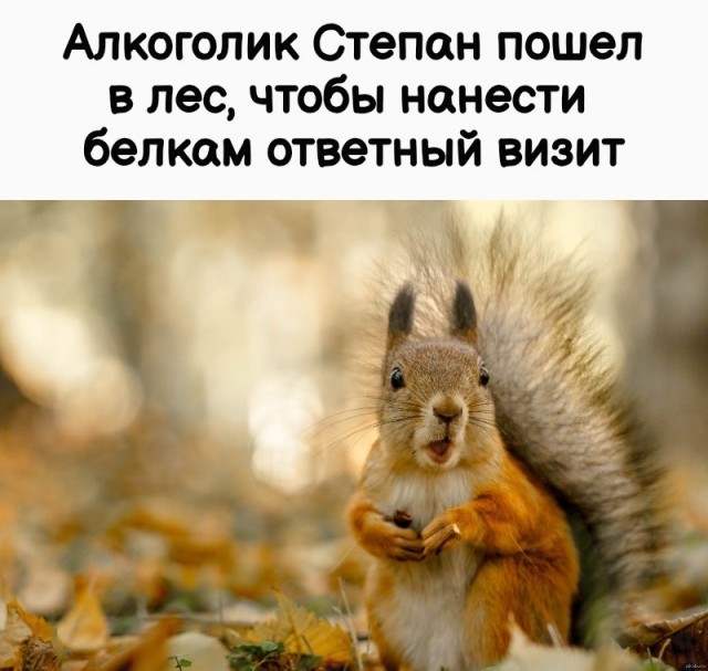 Так себе картинки 25.09.26