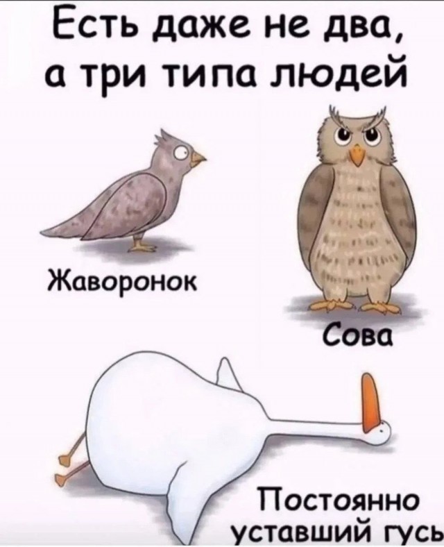 Картинки для деградации 295 (разной степени свежести)
