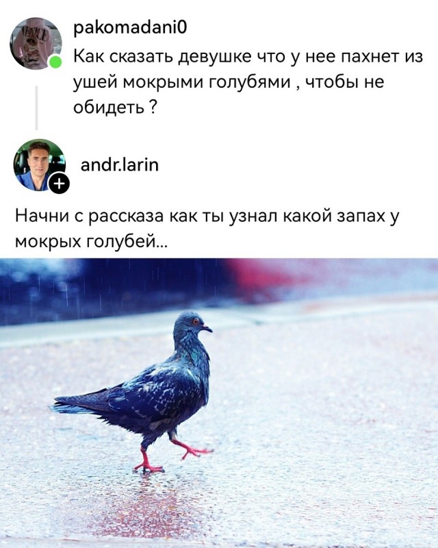 Так себе картинки 28.10.26