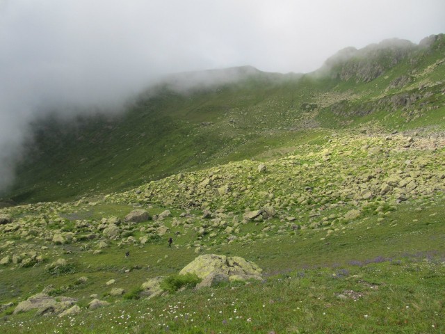 В горах. Абхазия.