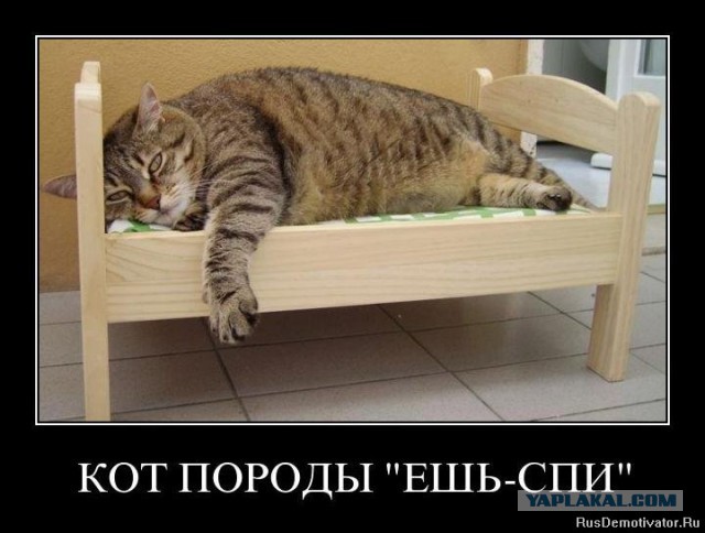 Позитивные картинки