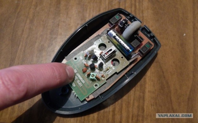 Дверной звонок гика