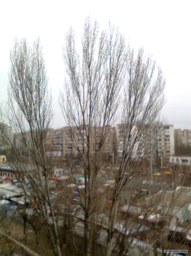 Вид из вашего окна