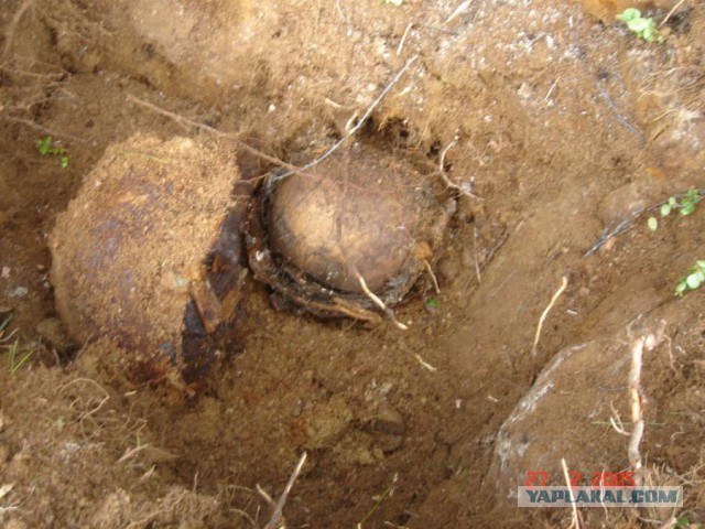 Отчет Банды маргиналов или трэш на Северах