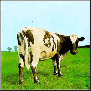 Плюсомет со шпалометом