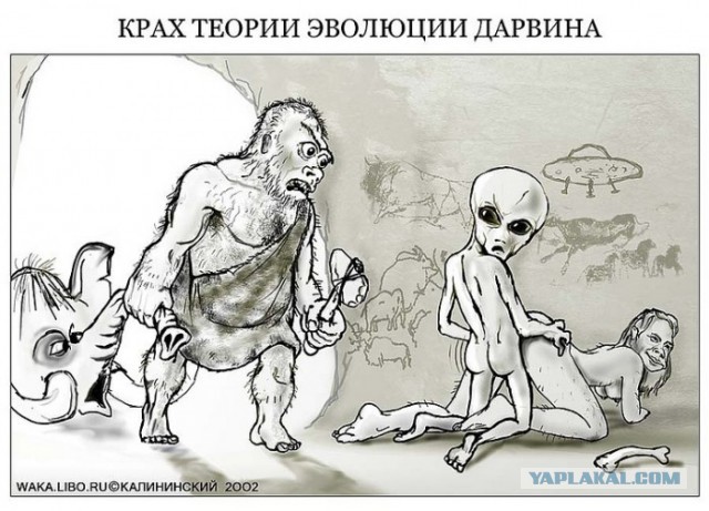 Веселые картинки