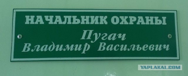 Редкая фамилия