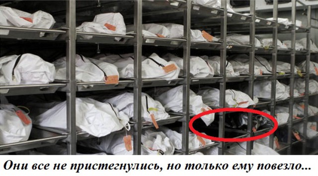 Не пристегнулись ремнями