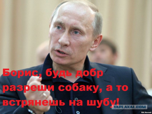 «Прямая линия» с Владимиром Путиным