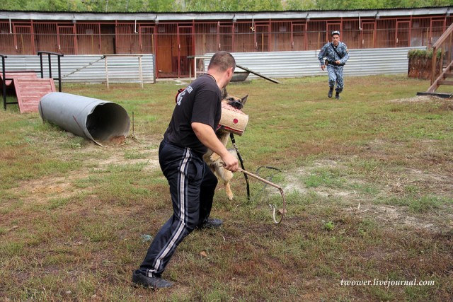 Центр кинологической службы Упр-ния на транспорте