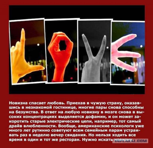 Интересные факты о разном