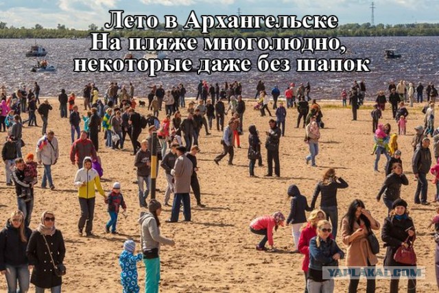 Подборка прикольных картинок