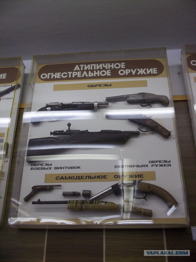 Музей судебной медицины