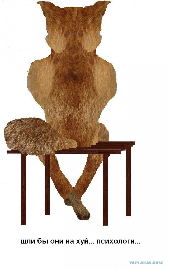 Практические занятия