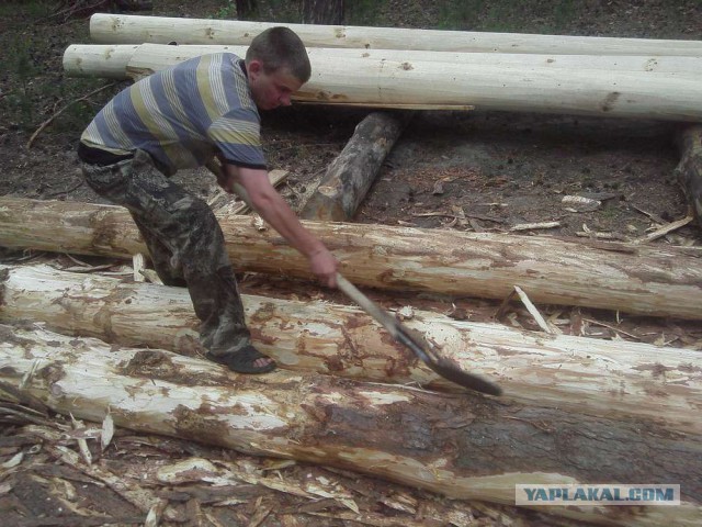 Строительство рубленной бани из кедра